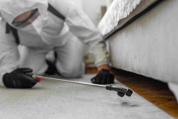 Professional Termite Control technician working in Saegertown, PA