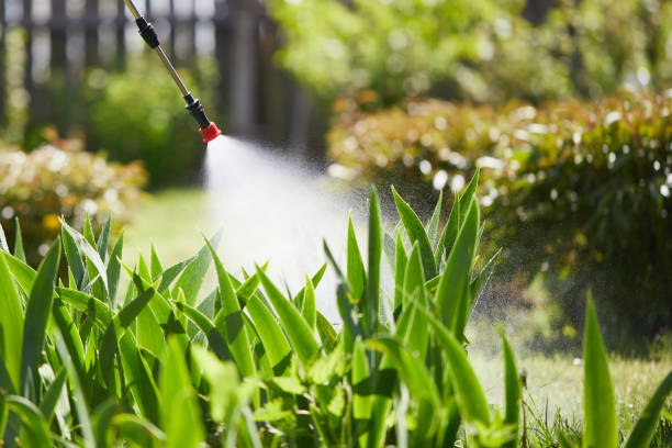 24/7 Emergency Termite Control experts in Saegertown, PA