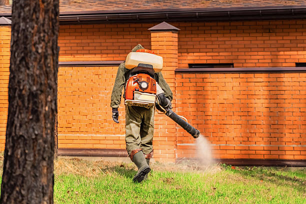 Trusted Bed Bug Control service in Saegertown, PA - Nex Pest Control